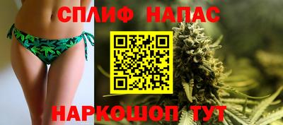 2c-b Кингисепп