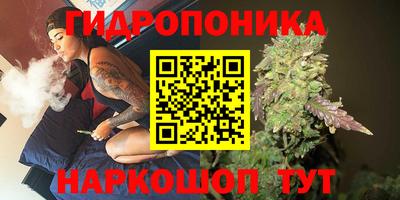 2c-b Кингисепп