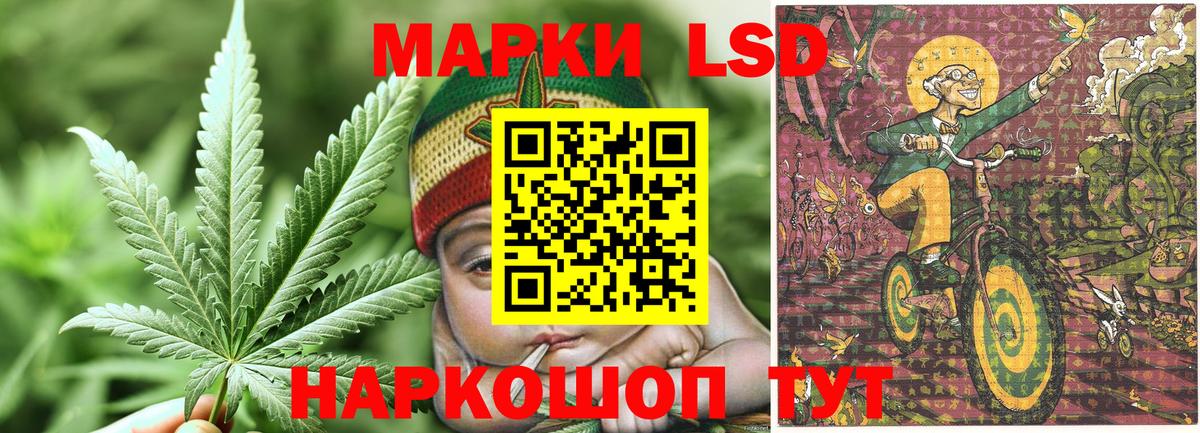 Наркотические марки  Наркотические марки 1500мкг  Чистополь  Вход с VPN  Наркотические марки 1500мкг 