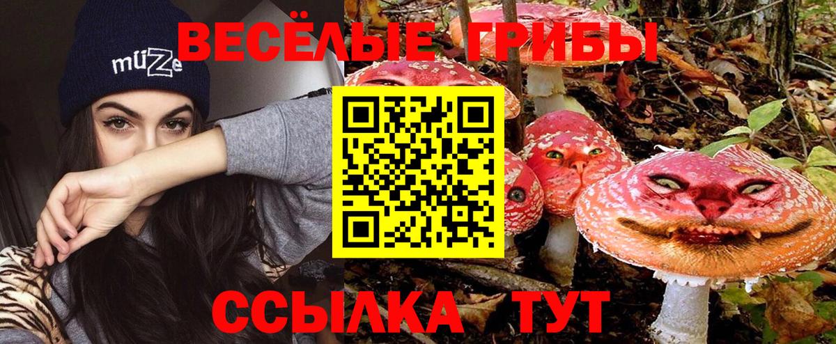 Чистополь  Галлюциногенные грибы прущие грибы  Галлюциногенные грибы GOLDEN TEACHER  Вход с VPN 