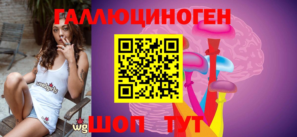 Псилоцибиновые грибы GOLDEN TEACHER Чистополь